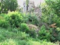 Hrad a vodárenská veža